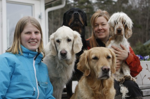 Canis avdelning Göterborg & Kungsbacka