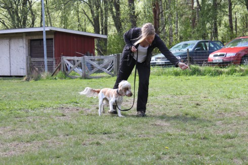 Totte och jag tänar vändningar i slagen