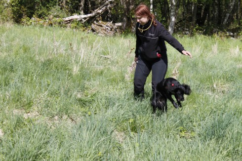 Kast med liten cocker? Nej, bara Emma som tog sig fram i det långa gräset genom att hoppa som en känguru.