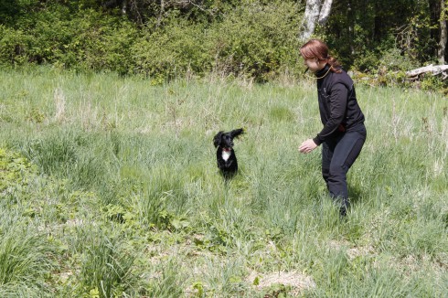 Madde med flygande cockern Emma