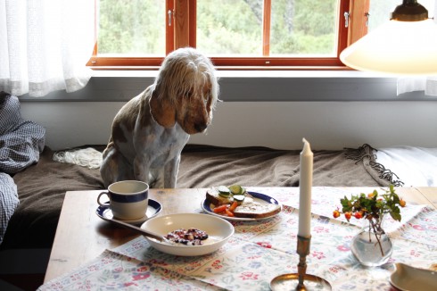 Jaha, detta är alltså dagens frukost?