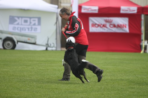 Vallhunden Qlura och Karin Fischer Kristiansson