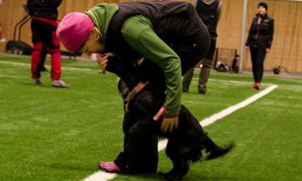 Talanglägret februari 2014